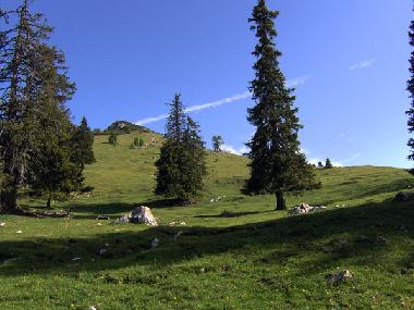 Holiday House in N�tsch (Oberk�rnten) or holiday homes and vacation rentals