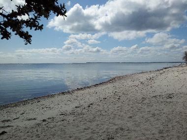 Holiday House in Faxe Ladeplads (Storstrom) or holiday homes and vacation rentals