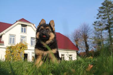 Holiday Apartment in Oersberg (Ostsee-Festland) or holiday homes and vacation rentals