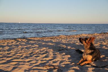 Holiday Apartment in Oersberg (Ostsee-Festland) or holiday homes and vacation rentals