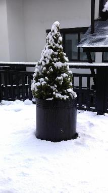 Holiday Apartment in Sierra Nevada (Granada) or holiday homes and vacation rentals