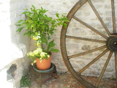 Holiday House in Coulonges sur l