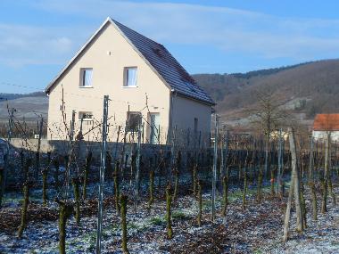 Holiday House in KINTZHEIM (Bas-Rhin) or holiday homes and vacation rentals