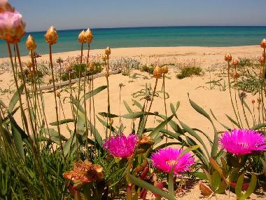 Holiday Apartment in Badesi (Olbia-Tempio) or holiday homes and vacation rentals