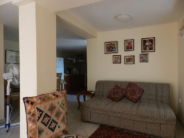 Living room with sofa bed