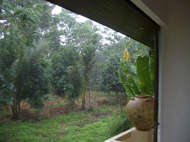 Holiday House in Koh Samui Suratthani (Surat Thani) or holiday homes and vacation rentals
