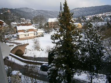 Holiday Apartment in Hirschhorn Neckar (Odenwald-Bergstrae-Neckartal) or holiday homes and vacation rentals