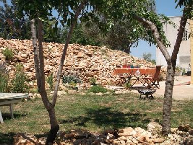 Holiday Apartment in Benicarl (Castelln / Castell) or holiday homes and vacation rentals