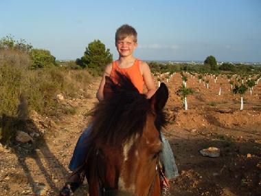 Holiday Apartment in Benicarl (Castelln / Castell) or holiday homes and vacation rentals