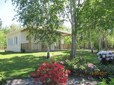 The cottage in springtime