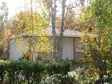 The cottage in autumn 