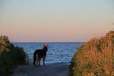 Holiday Apartment in Oersberg (Ostsee-Festland) or holiday homes and vacation rentals