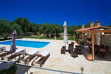 Surrounded by olive trees