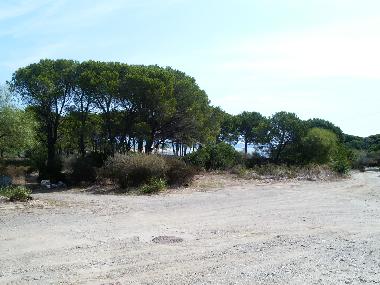 Holiday Apartment in loc iscra  E  Voes (Nuoro) or holiday homes and vacation rentals