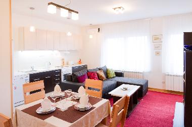 Holiday Apartment in Belgrade (Central Serbia) or holiday homes and vacation rentals