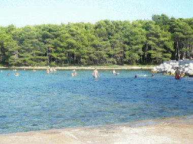 Holiday Apartment in Molat (Zadarska) or holiday homes and vacation rentals