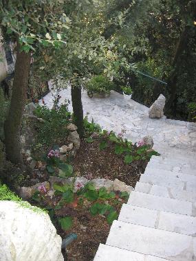 Holiday House in Grasse (Alpes-Maritimes) or holiday homes and vacation rentals