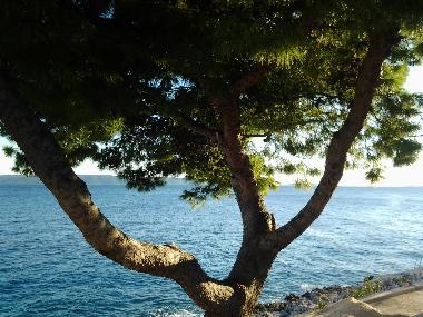 Holiday Apartment in Okrug Gornji (Splitsko-Dalmatinska) or holiday homes and vacation rentals