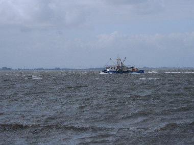 Holiday Apartment in Manslagt (Nordsee-Festland / Ostfriesland) or holiday homes and vacation rentals