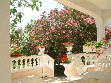 Holiday Apartment in Palit (Primorsko-Goranska) or holiday homes and vacation rentals