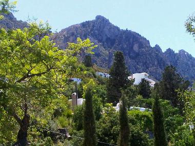 View from the terrace (West)