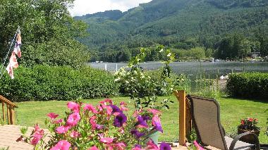 summer by the lake