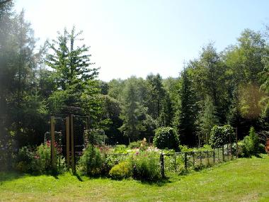 the vegetable garden/le potager