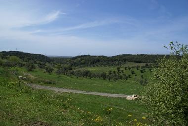 Holiday Apartment in bagno a ripoli (Firenze) or holiday homes and vacation rentals