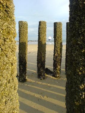 Holiday Apartment in Koudekerke (Zeeland) or holiday homes and vacation rentals