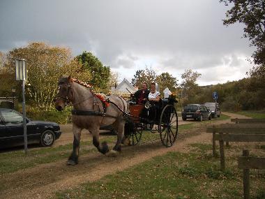 Holiday Apartment in Koudekerke (Zeeland) or holiday homes and vacation rentals