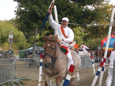 Holiday Apartment in Koudekerke (Zeeland) or holiday homes and vacation rentals