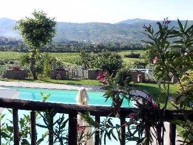 Holiday House in Castiglion fiorentino (Arezzo) or holiday homes and vacation rentals
