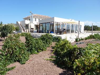 Holiday House in Statos Agios Fotios (Paphos) or holiday homes and vacation rentals