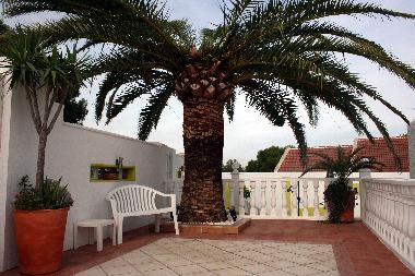 Villa in San Miguel De Salinas (Murcia) or holiday homes and vacation rentals