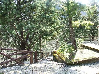 Holiday House in Roccafluvione (Ascoli Piceno) or holiday homes and vacation rentals