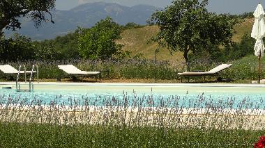 Holiday Apartment in Cagli (Pesaro e Urbino) or holiday homes and vacation rentals