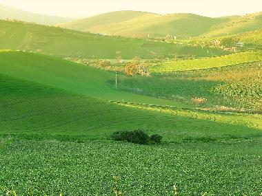 Bed and Breakfast in Corleone (Palermo) or holiday homes and vacation rentals
