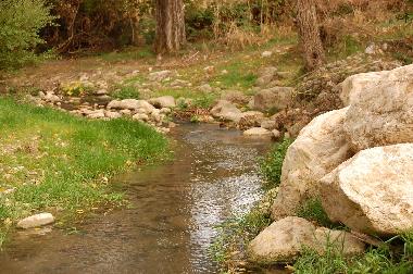 Bed and Breakfast in Corleone (Palermo) or holiday homes and vacation rentals