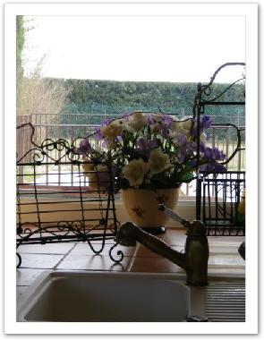 Villa in Fayence (Var) or holiday homes and vacation rentals