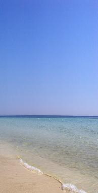 Villa in manduria (Taranto) or holiday homes and vacation rentals