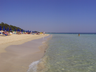 Villa in manduria (Taranto) or holiday homes and vacation rentals