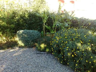 Chalet in miami Playa (Tarragona) or holiday homes and vacation rentals