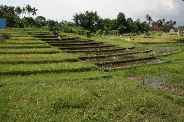 Villa in Kerobokan (Bali) or holiday homes and vacation rentals