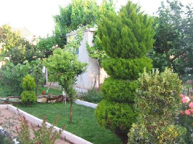 Holiday House in Ksamil (Sarande) or holiday homes and vacation rentals