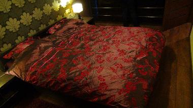 Holiday Apartment in Gdansk (Pomorskie) or holiday homes and vacation rentals