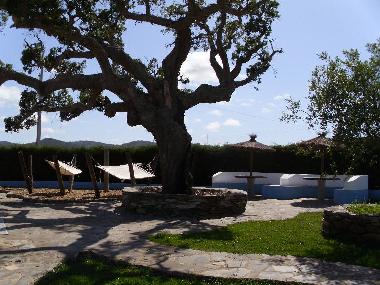 Holiday House in Cercal (Alentejo Litoral) or holiday homes and vacation rentals