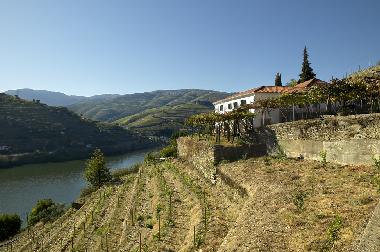 Holiday House in Pinho (Norte) or holiday homes and vacation rentals