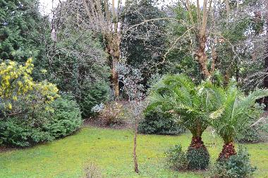 Villa in Cambo les Bains (Pyr�n�es-Atlantiques) or holiday homes and vacation rentals