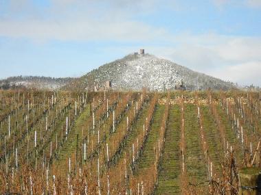 Holiday Apartment in Hunawirh (Haut-Rhin) or holiday homes and vacation rentals