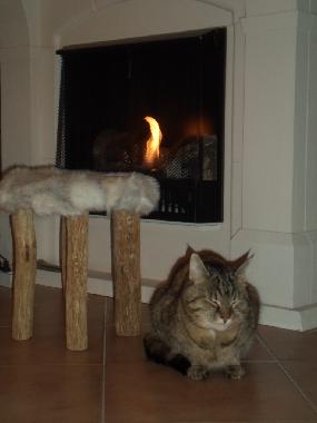 Holiday House in Halmstad (Halland) or holiday homes and vacation rentals